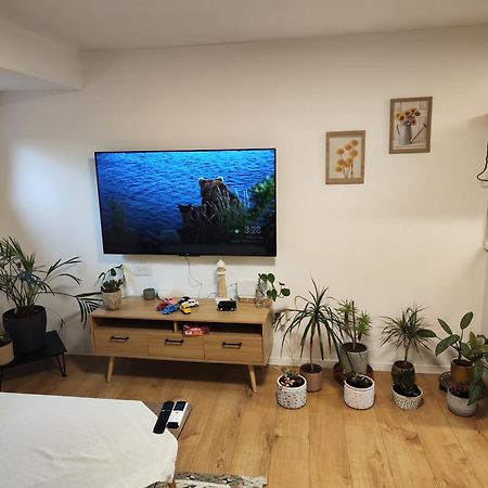 המקום של מוש Pardess Hanna エクステリア 写真